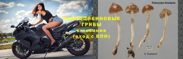 спиды Богородицк