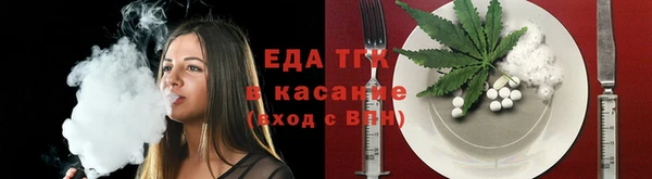 спиды Богородицк