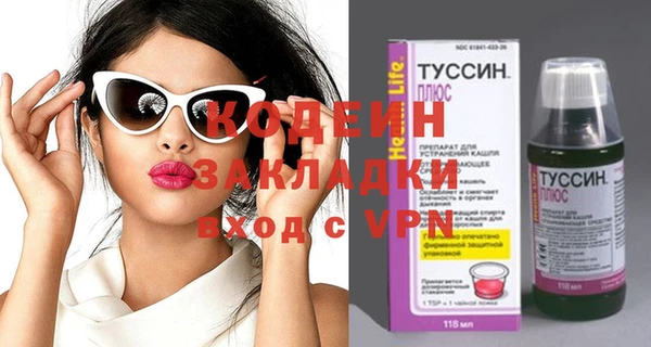 спиды Богородицк