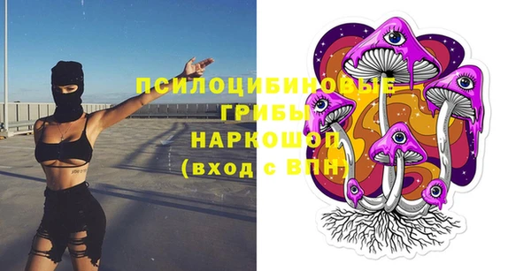 мдпв Богданович