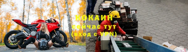 спиды Богородицк