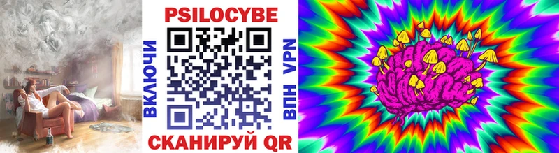 Галлюциногенные грибы Psilocybe  Пионерский 